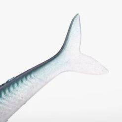 COMBO Leurres Souples Slug SLUGEELO 160 Ayu/Bleu -Pêche Boutique combo leurres souples slug slugeelo 160 ayubleu 4