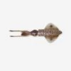 Savage Gear Leurre De Pêche En Mer 3D SWIM SQUID 12.5 CM CUTTLEFISH -Pêche Boutique leurre de peche en mer 3d swim squid 125 cm cuttlefish